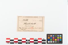 Etikett zu Eisengriffangelmesser (NHMW-PRAE-003468)